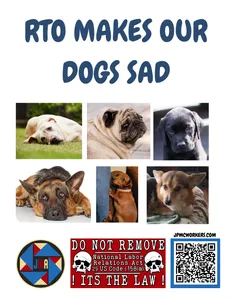 sad dogs.png